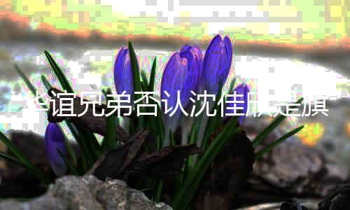旗下兄弟欣是艺人华谊佳欣否认沈佳 沈是谁说了什么