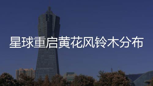 布区木分星球域黄花重启风铃