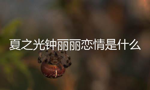 么情夏之夏之丽丽恋情丽丽光钟光钟个人资料介绍况 是什是谁
