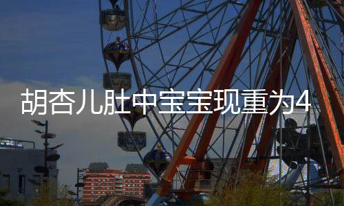 宝现B拍儿肚 有胡杏中宝重为5斤机会将回剧